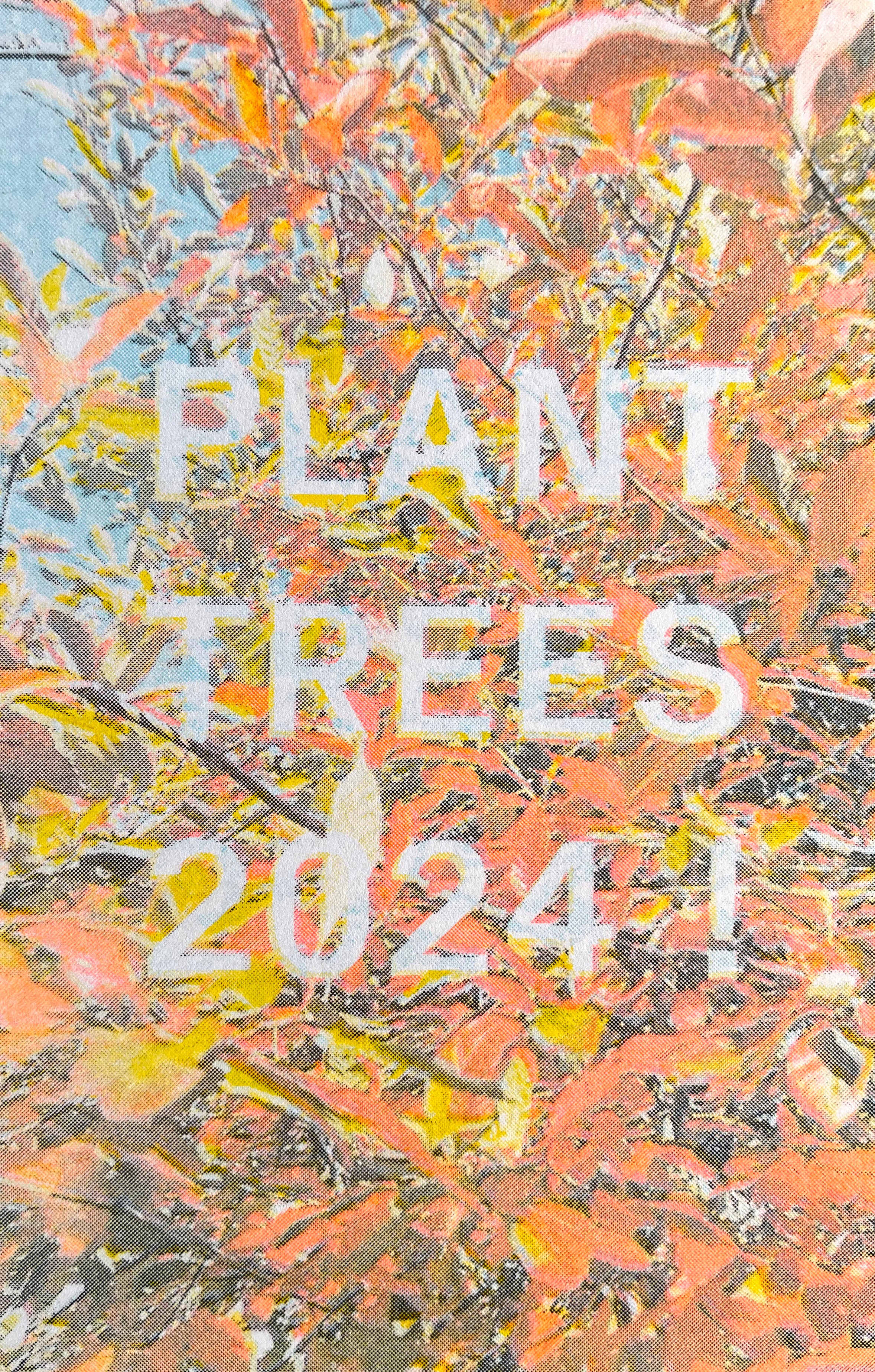 Plant Trees 2024